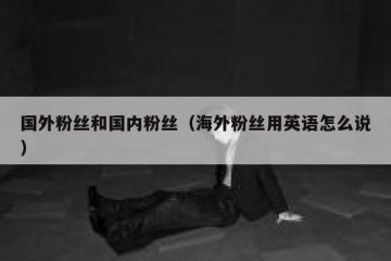 国外粉丝和国内粉丝（海外粉丝用英语怎么说）