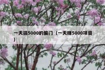 一天搞5000的偏门（一天赚5000项目）
