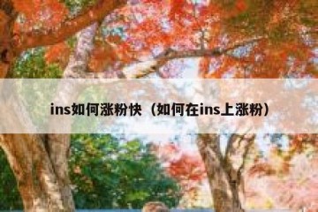 ins如何涨粉快（如何在ins上涨粉）