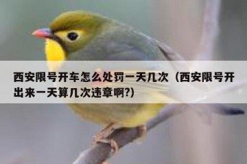 西安限号开车怎么处罚一天几次（西安限号开出来一天算几次违章啊?）