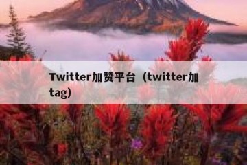Twitter加赞平台（twitter加tag）