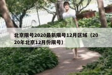 北京限号2020最新限号12月区域（2020年北京12月份限号）
