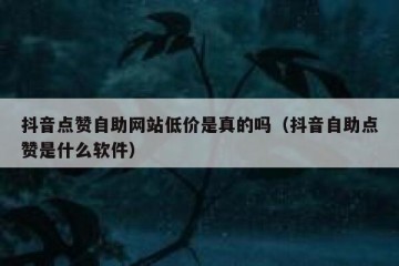 抖音点赞自助网站低价是真的吗（抖音自助点赞是什么软件）