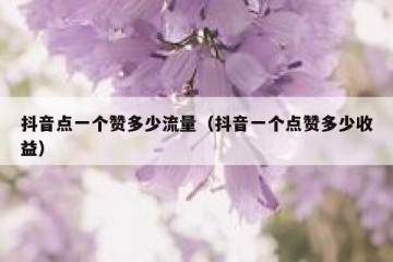 抖音点一个赞多少流量（抖音一个点赞多少收益）