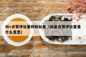 抖+点赞评论量和粉丝量（抖音点赞评论量是什么意思）