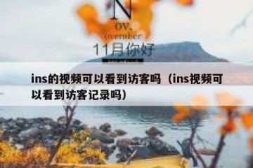 ins的视频可以看到访客吗（ins视频可以看到访客记录吗）