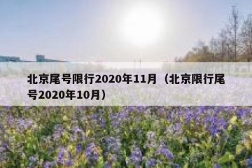 北京尾号限行2020年11月（北京限行尾号2020年10月）