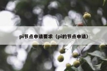 pi节点申请要求（pi的节点申请）