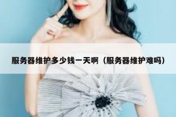 服务器维护多少钱一天啊（服务器维护难吗）