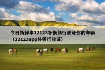 今日新鲜事12123补换领行驶证你的车辆（12123app补领行驶证）
