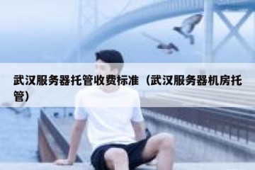武汉服务器托管收费标准（武汉服务器机房托管）