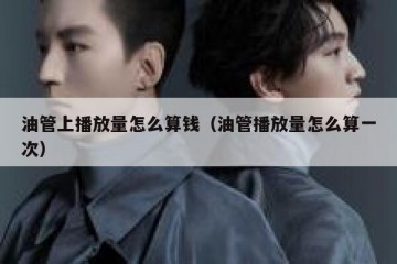 油管上播放量怎么算钱（油管播放量怎么算一次）