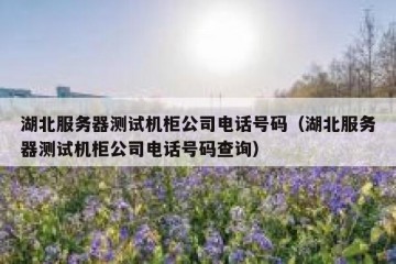 湖北服务器测试机柜公司电话号码（湖北服务器测试机柜公司电话号码查询）