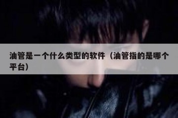 油管是一个什么类型的软件（油管指的是哪个平台）