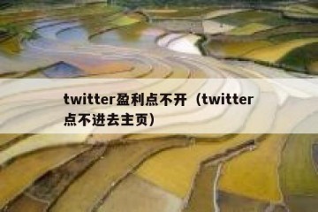 twitter盈利点不开（twitter点不进去主页）