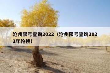沧州限号查询2022（沧州限号查询2022年轮换）