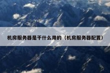 机房服务器是干什么用的（机房服务器配置）