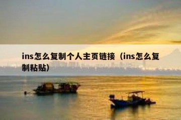ins怎么复制个人主页链接（ins怎么复制粘贴）