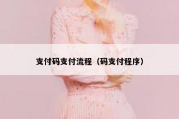 支付码支付流程（码支付程序）