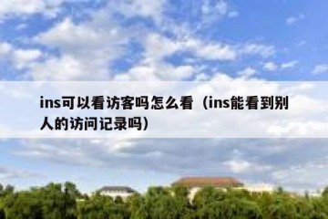 ins可以看访客吗怎么看（ins能看到别人的访问记录吗）