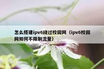 怎么搭建ipv6绕过校园网（ipv6校园网如何不限制流量）