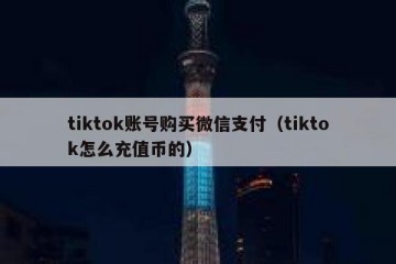 tiktok账号购买微信支付（tiktok怎么充值币的）