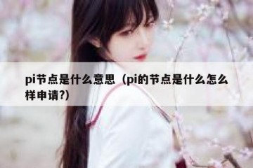 pi节点是什么意思（pi的节点是什么怎么样申请?）