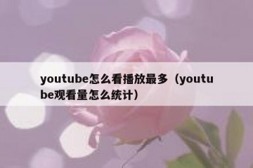youtube怎么看播放最多（youtube观看量怎么统计）