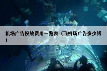 机场广告投放费用一览表（飞机场广告多少钱）