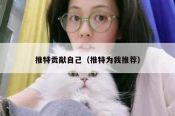 推特贡献自己（推特为我推荐）