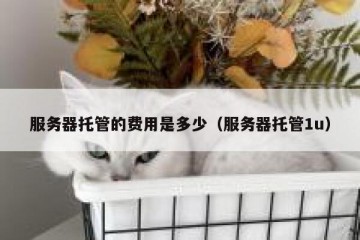 服务器托管的费用是多少（服务器托管1u）