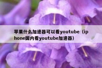 苹果什么加速器可以看youtube（iphone国内看youtube加速器）