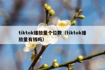 tiktok播放量个位数（tiktok播放量有钱吗）