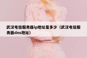 武汉电信服务器ip地址是多少（武汉电信服务器dns地址）