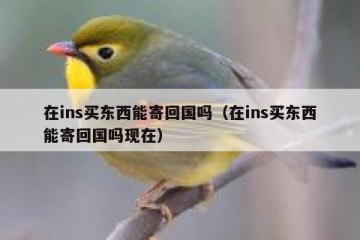在ins买东西能寄回国吗（在ins买东西能寄回国吗现在）