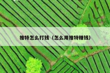 推特怎么打钱（怎么用推特赚钱）
