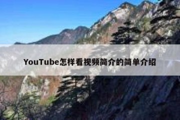 YouTube怎样看视频简介的简单介绍