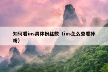 如何看ins具体粉丝数（ins怎么查看掉粉）