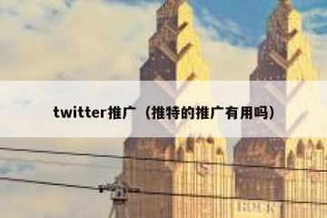 twitter推广（推特的推广有用吗）