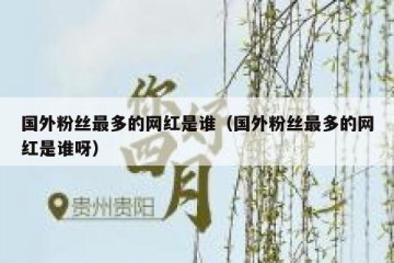 国外粉丝最多的网红是谁（国外粉丝最多的网红是谁呀）