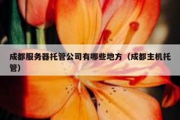 成都服务器托管公司有哪些地方（成都主机托管）