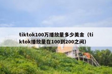 tiktok100万播放量多少美金（tiktok播放量在100到200之间）