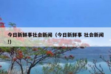 今日新鲜事社会新闻（今日新鲜事 社会新闻!）