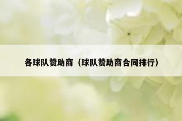 各球队赞助商（球队赞助商合同排行）