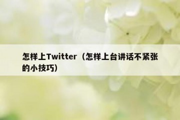 怎样上Twitter（怎样上台讲话不紧张的小技巧）