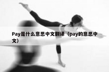 Pay是什么意思中文翻译（pay的意思中文）