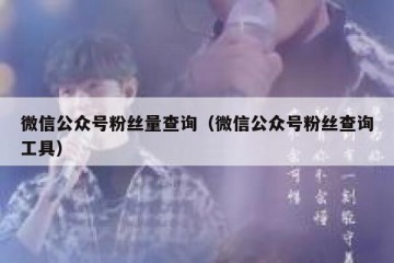 微信公众号粉丝量查询（微信公众号粉丝查询工具）