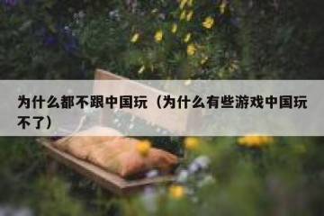 为什么都不跟中国玩（为什么有些游戏中国玩不了）