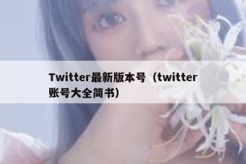 Twitter最新版本号（twitter账号大全简书）