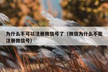 为什么不可以注册微信号了（微信为什么不能注册微信号）